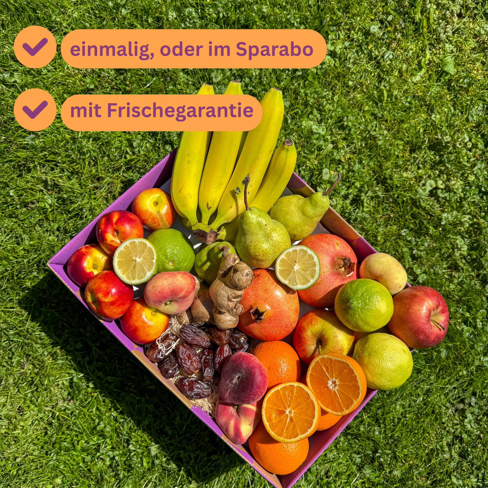 Erfrischungs-Detox-Box