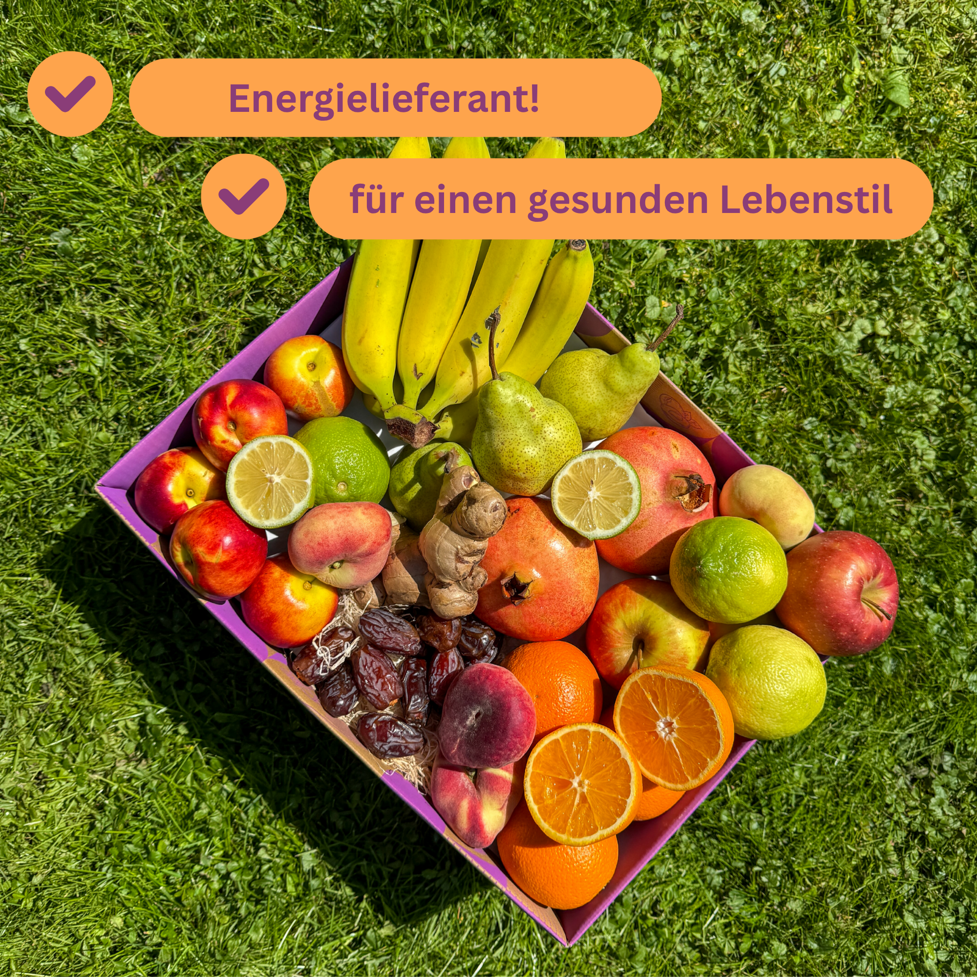 Erfrischungs-Detox-Box