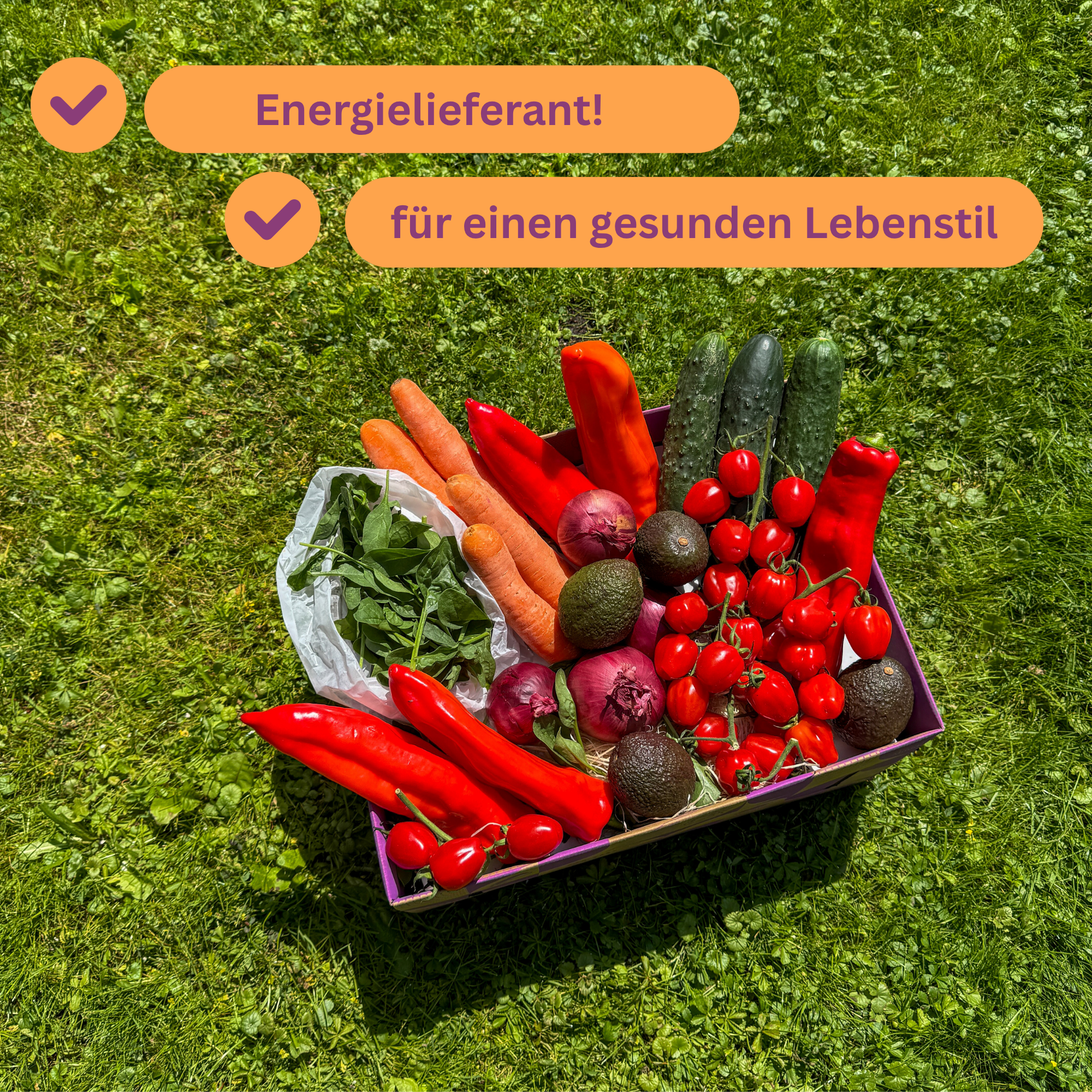 Gemüsebox