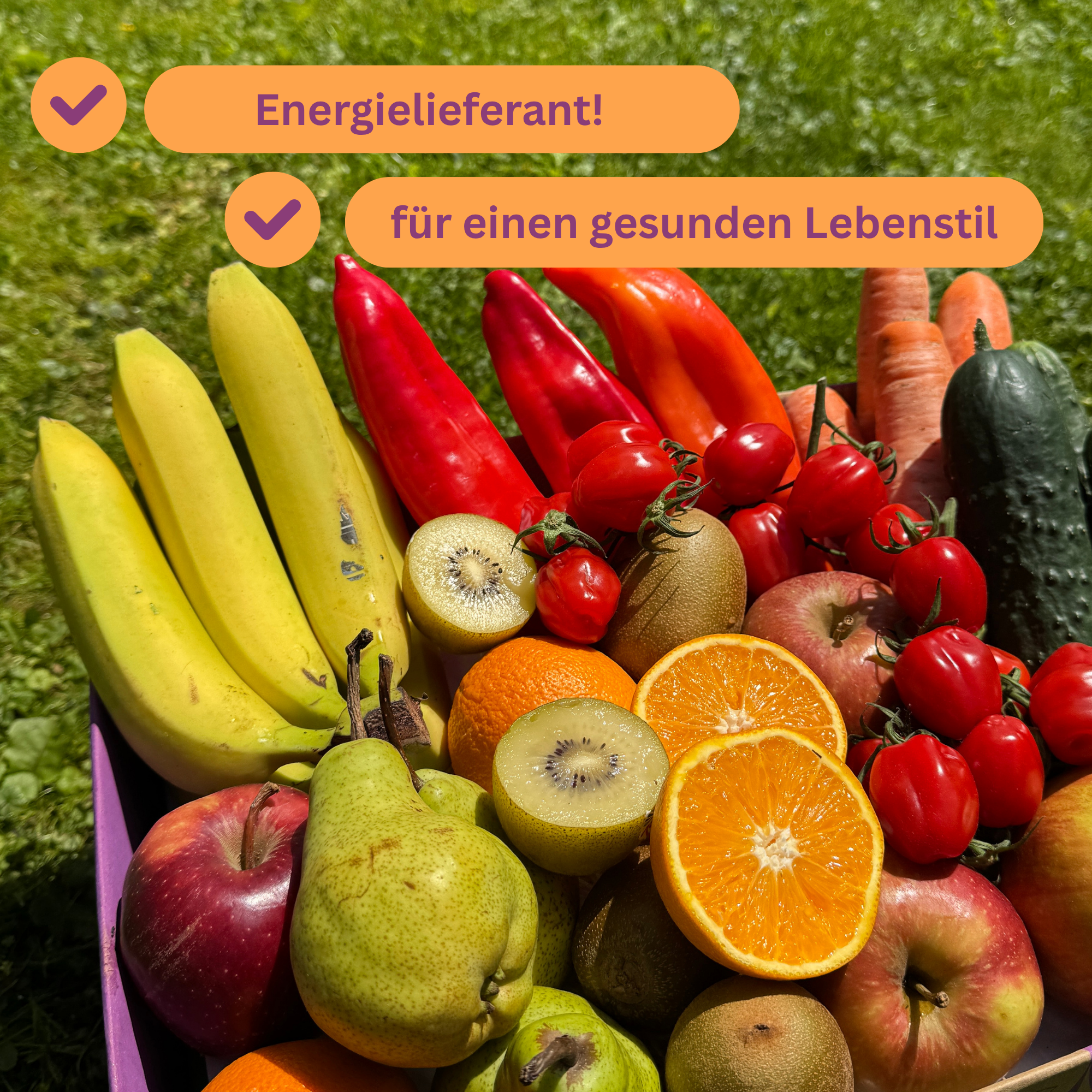 Familien-Vitalbox