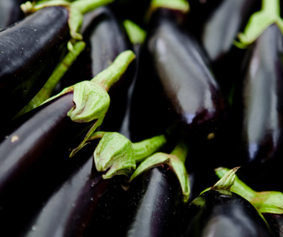 Aubergine