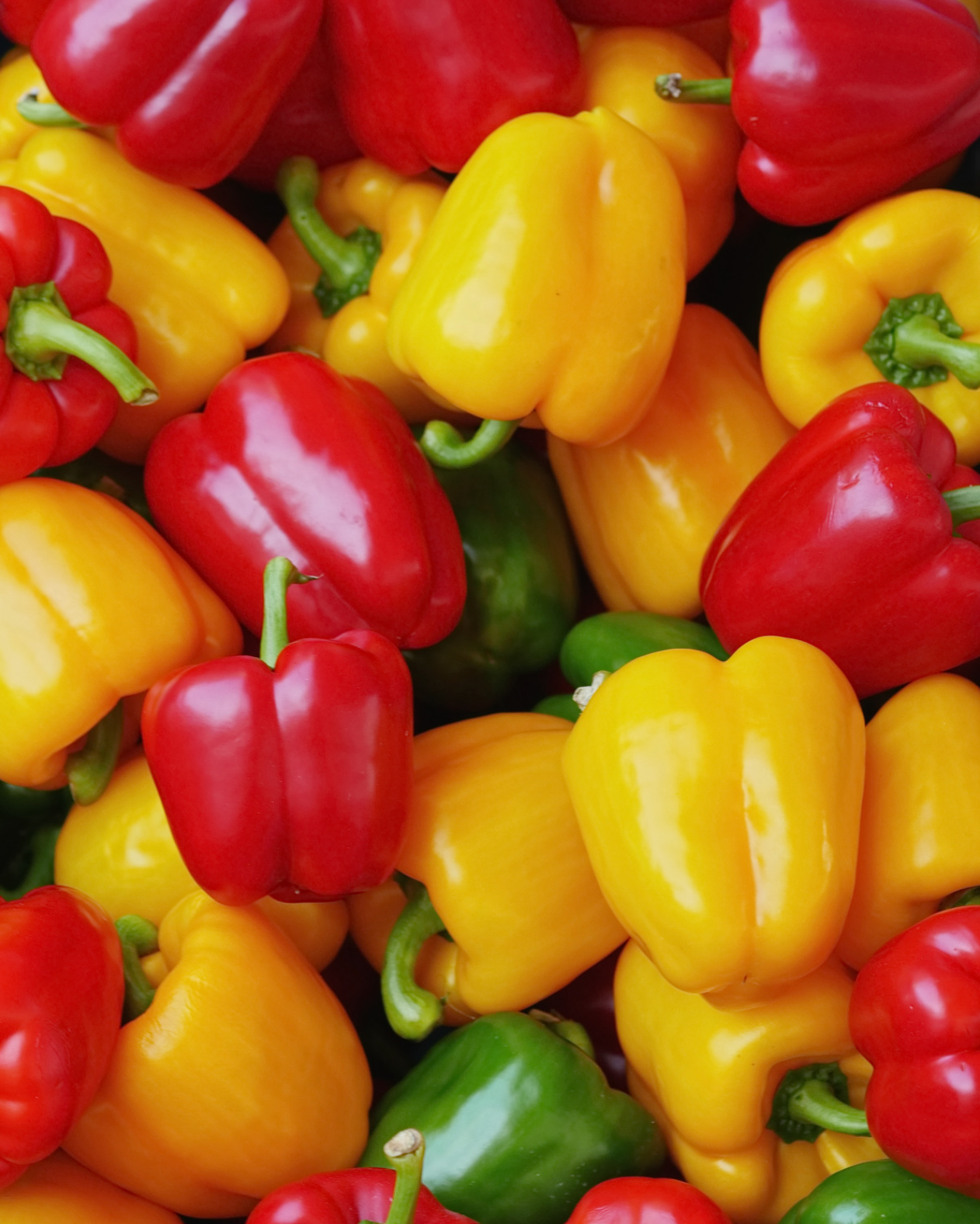 500 Gr Paprika
