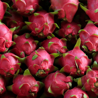 Pitahaya
