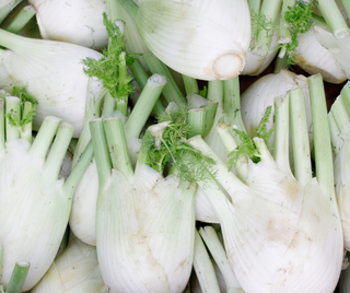 Fenchel