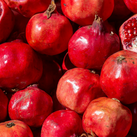 Granatapfel