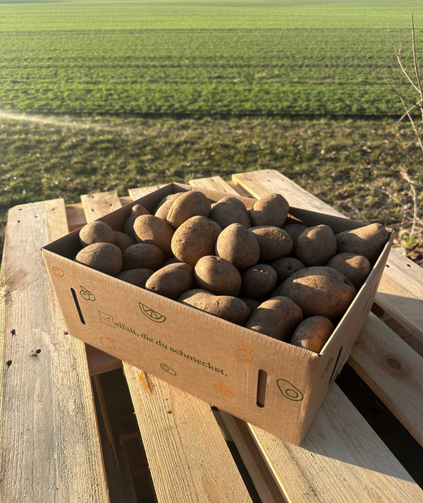 Kartoffelbox - 5kg