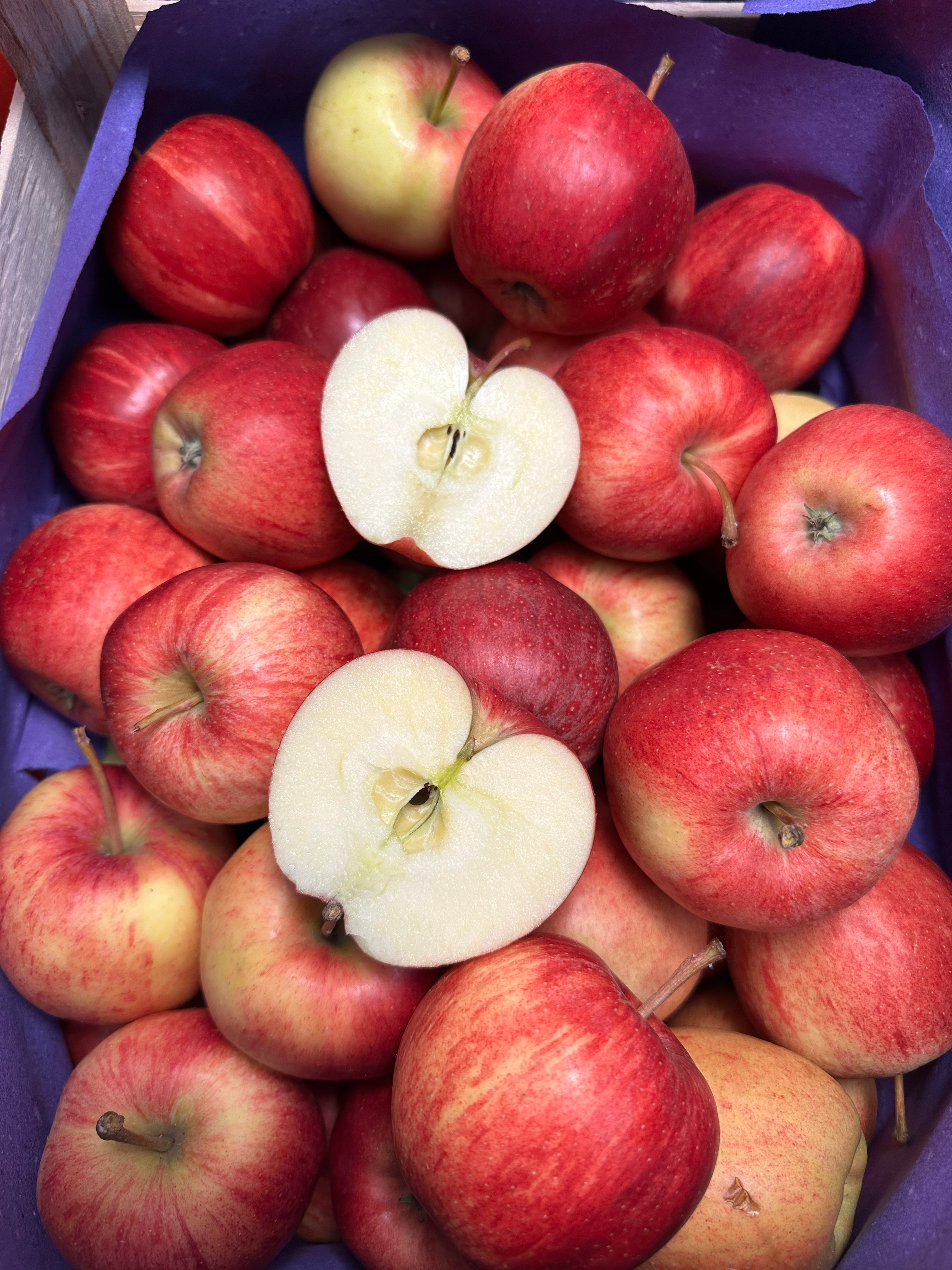 Apfelbox - 5kg Gala Royal