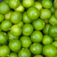 Limetten