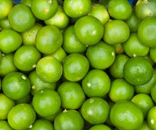 Limetten