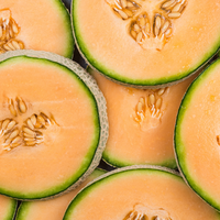 Netzmelone