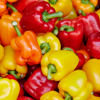 Paprika