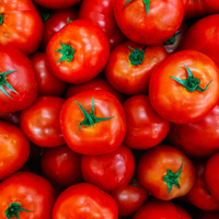 Tomaten