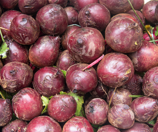 Rote Beete