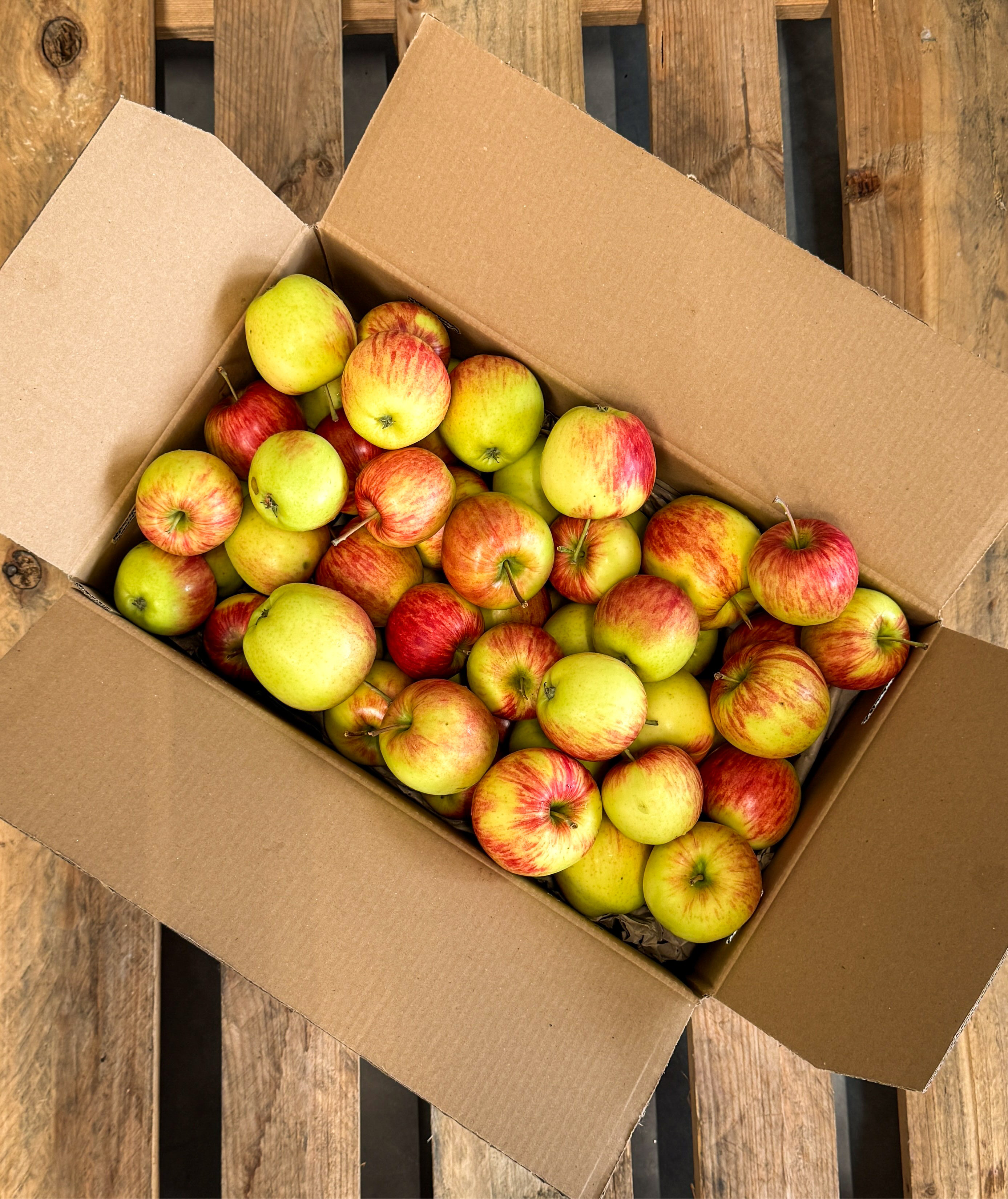 Apfelbox - 5kg