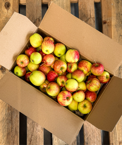 Apfelbox - 5kg