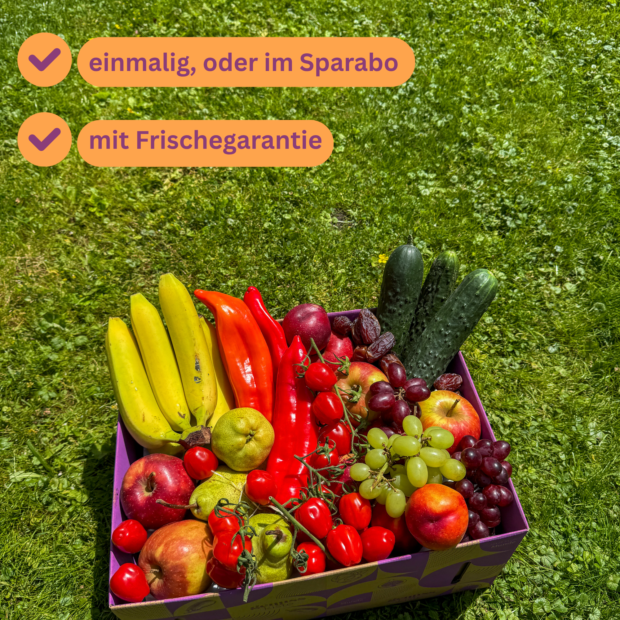 Snack-to-go-Box