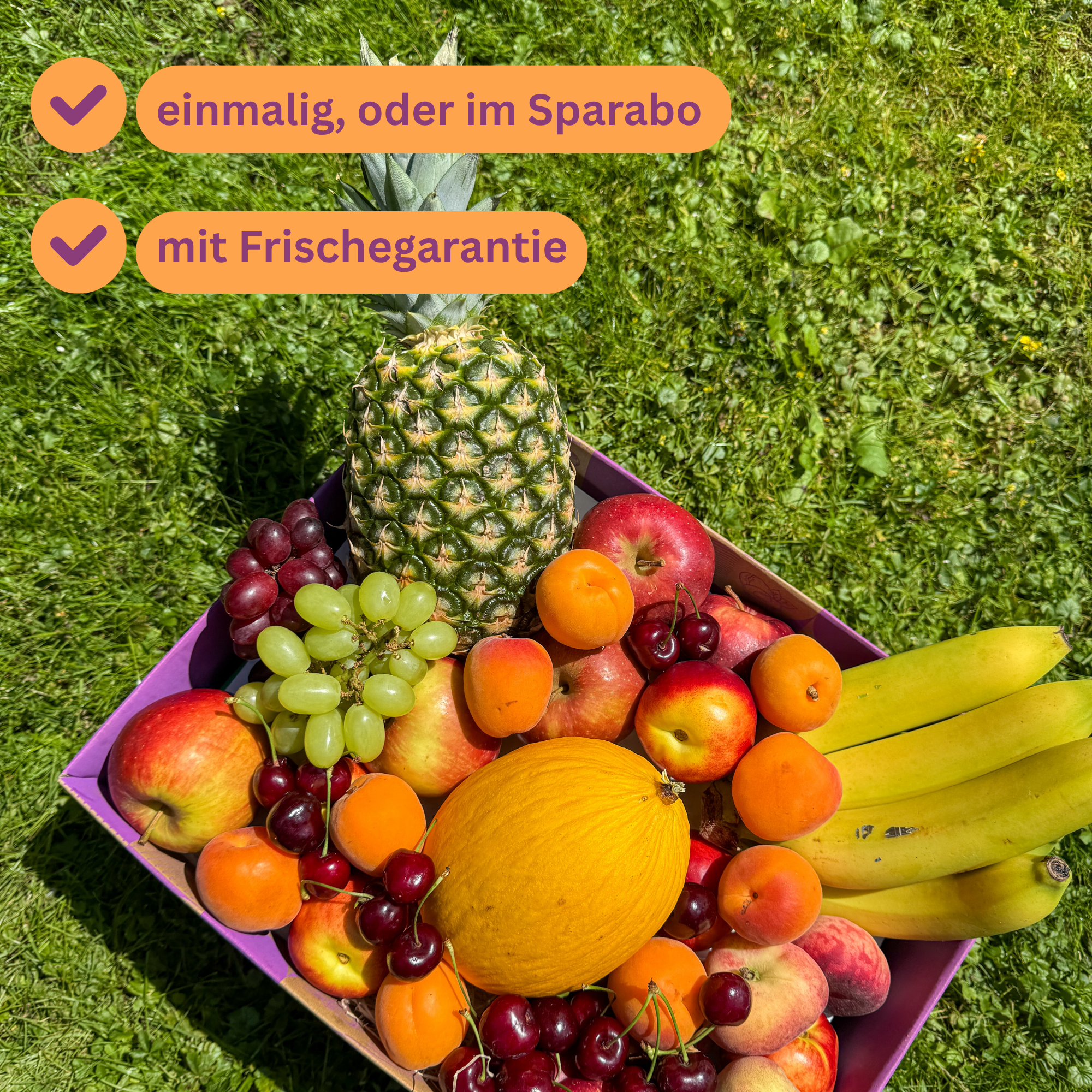 Sunshine fruits