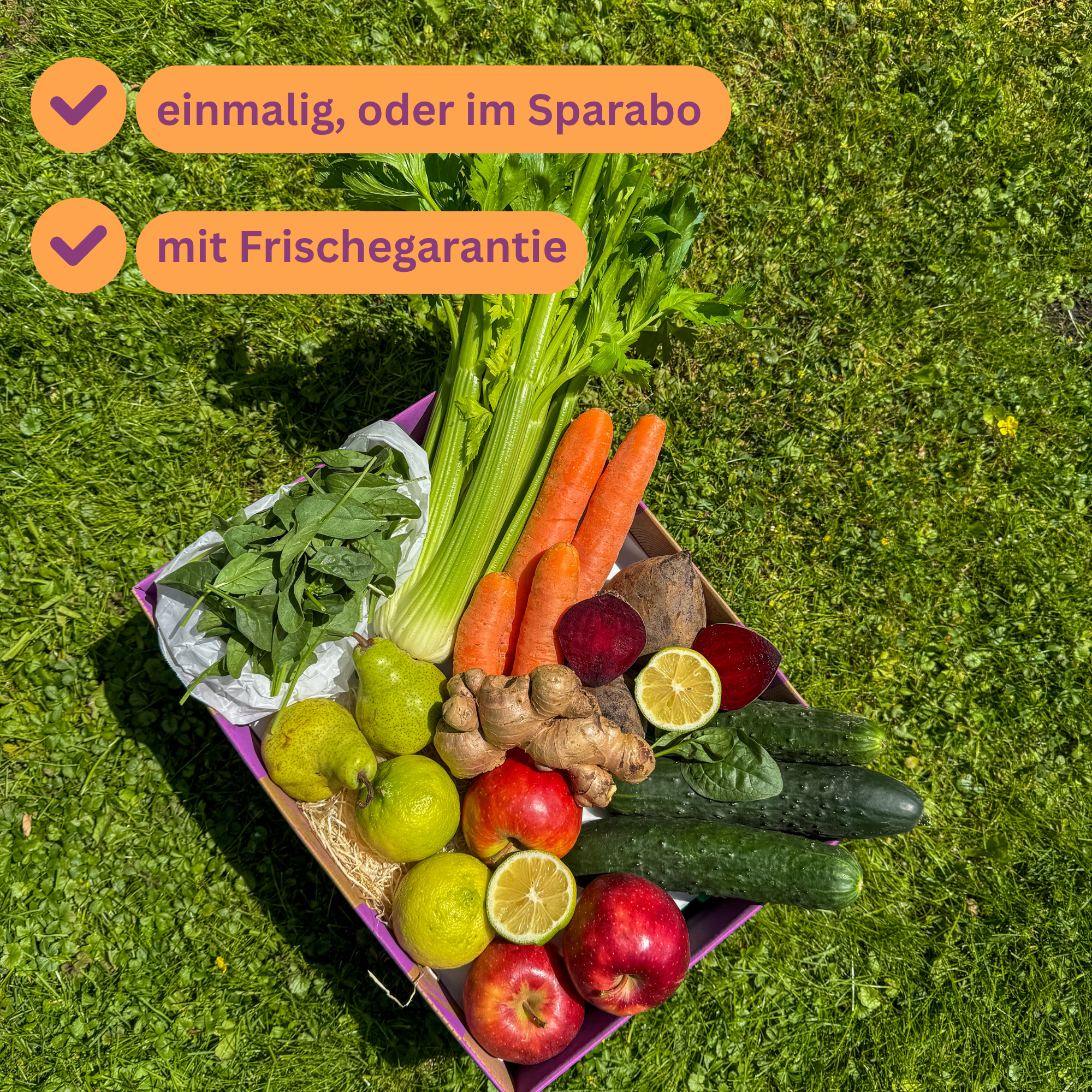 Smoothie Starter
