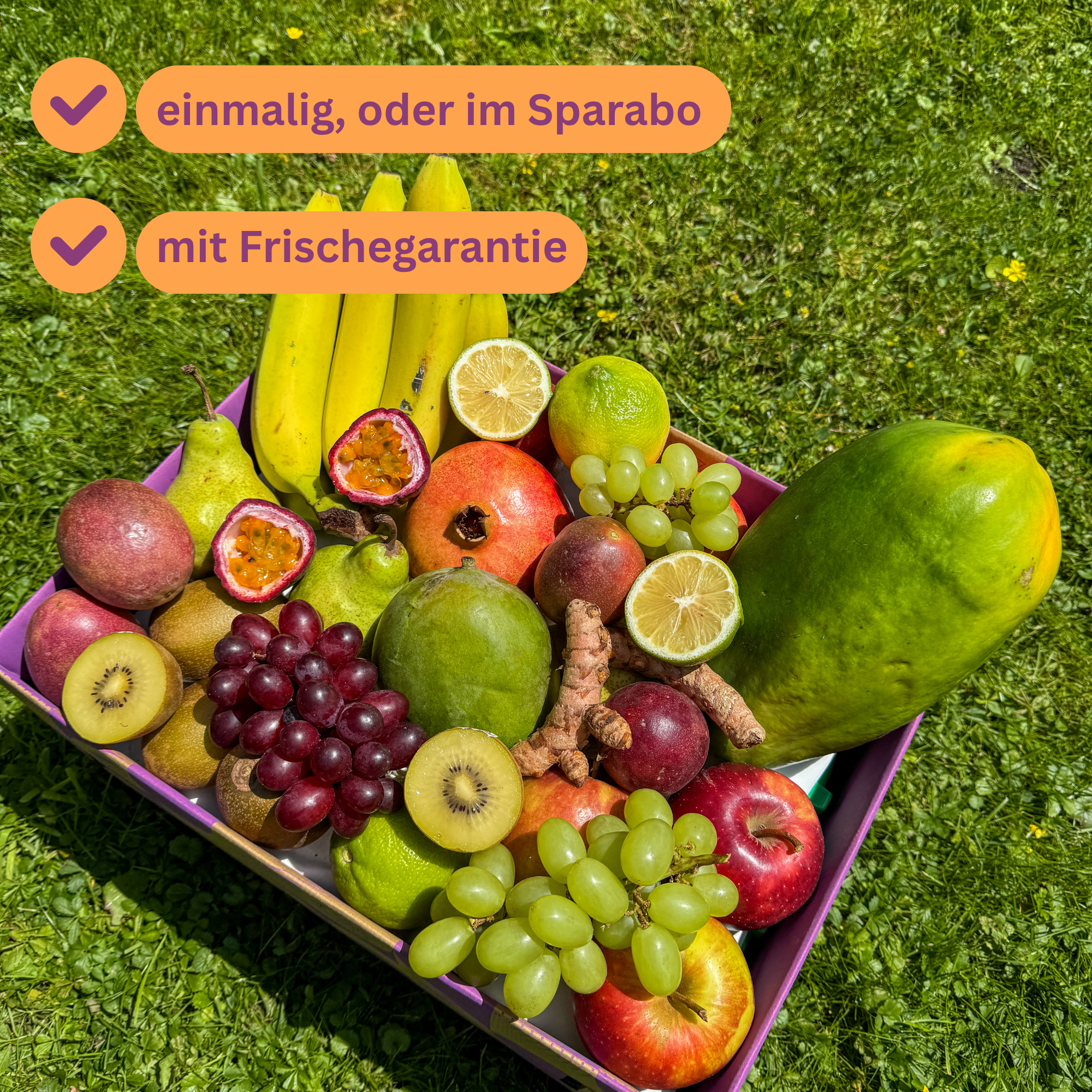 Exoten & Superfood Box