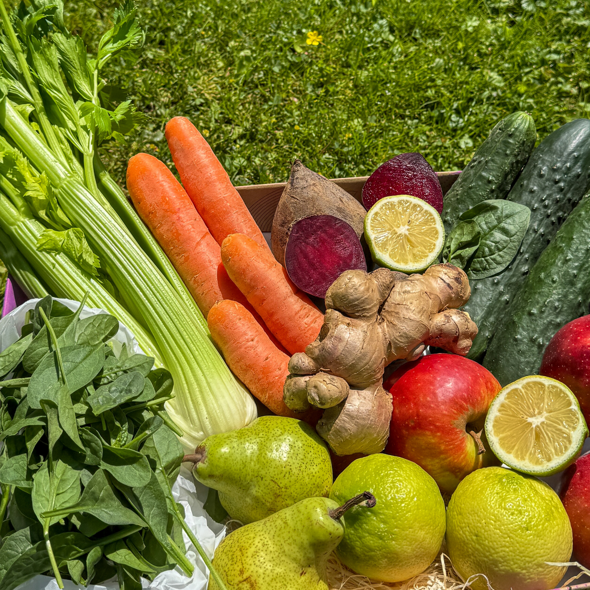 Smoothie Starter
