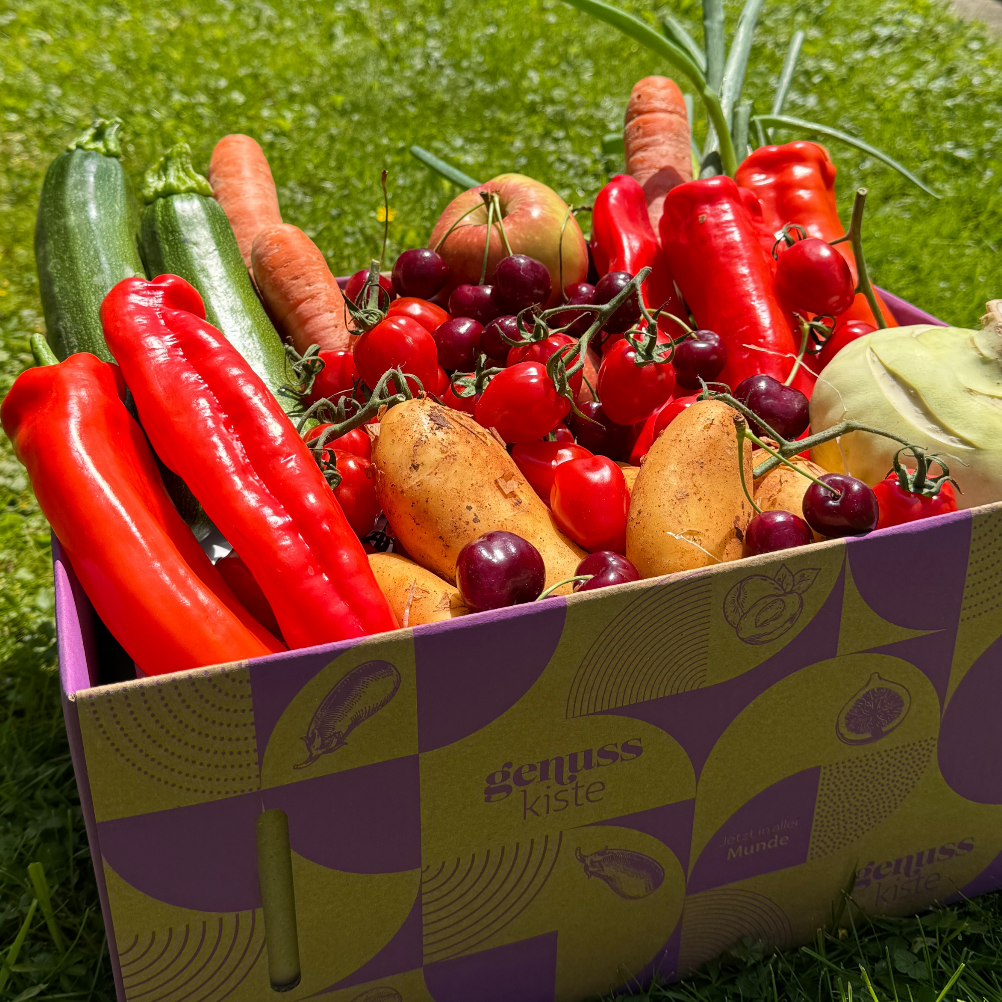 Regionale Lieblingsbox