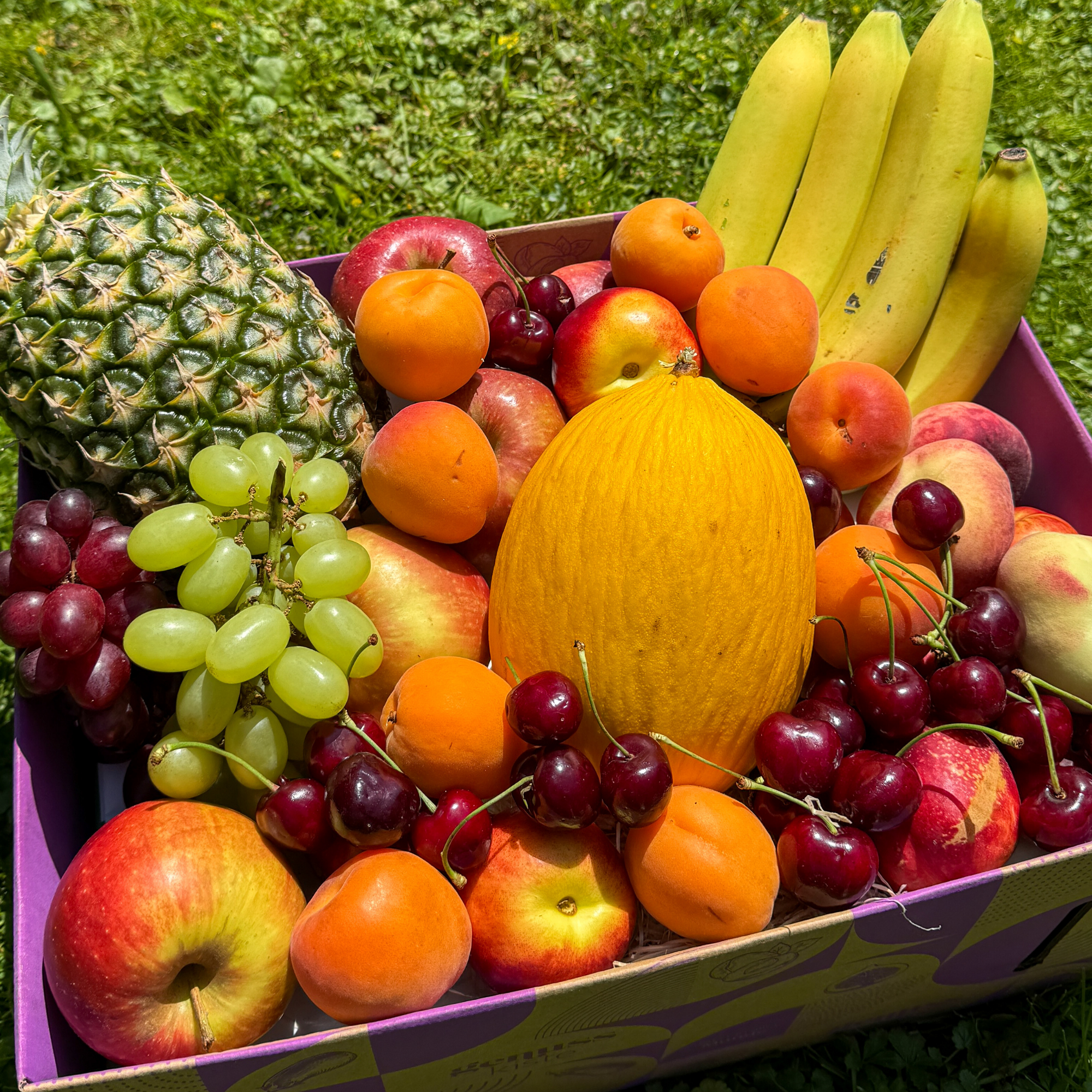 Obst Allrounder