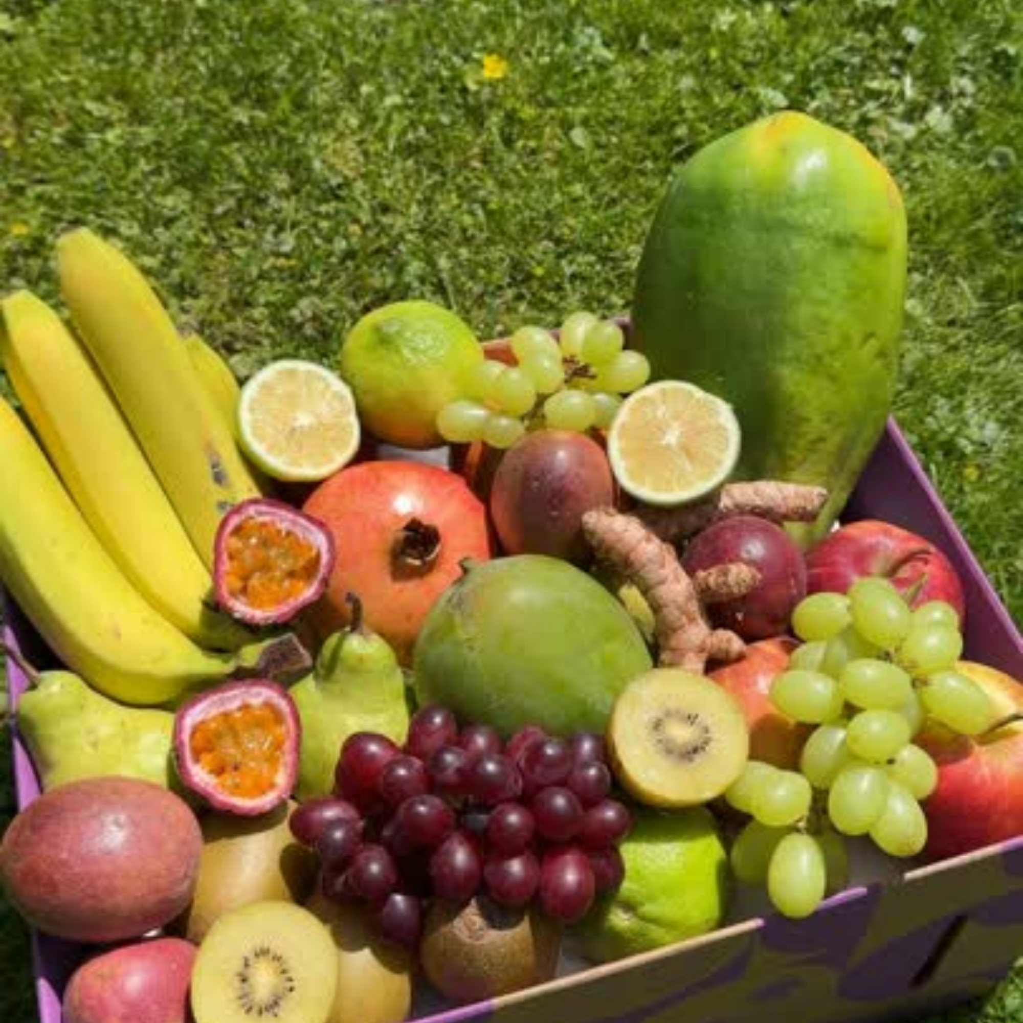 Exoten & Superfood Box