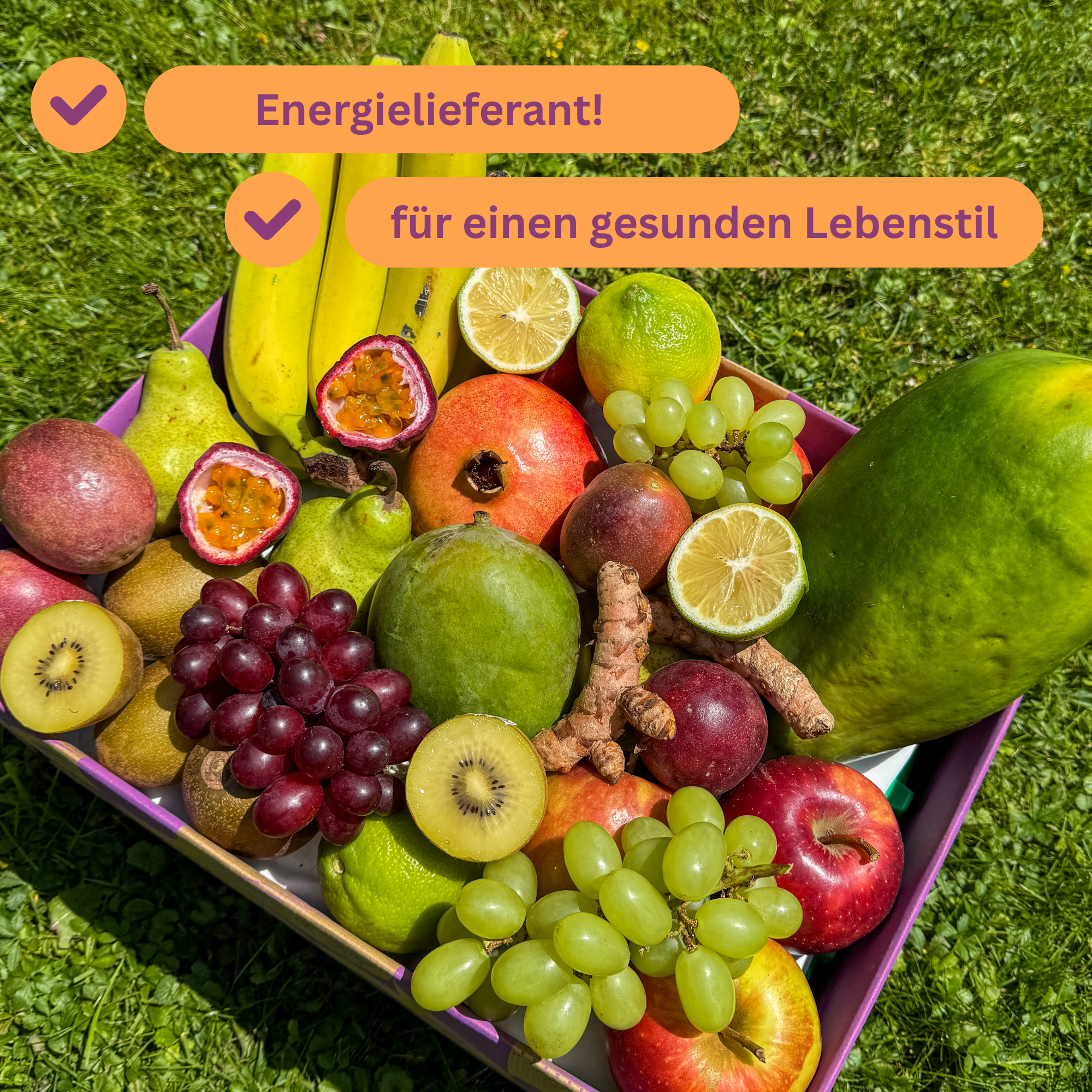 Exoten & Superfood Box