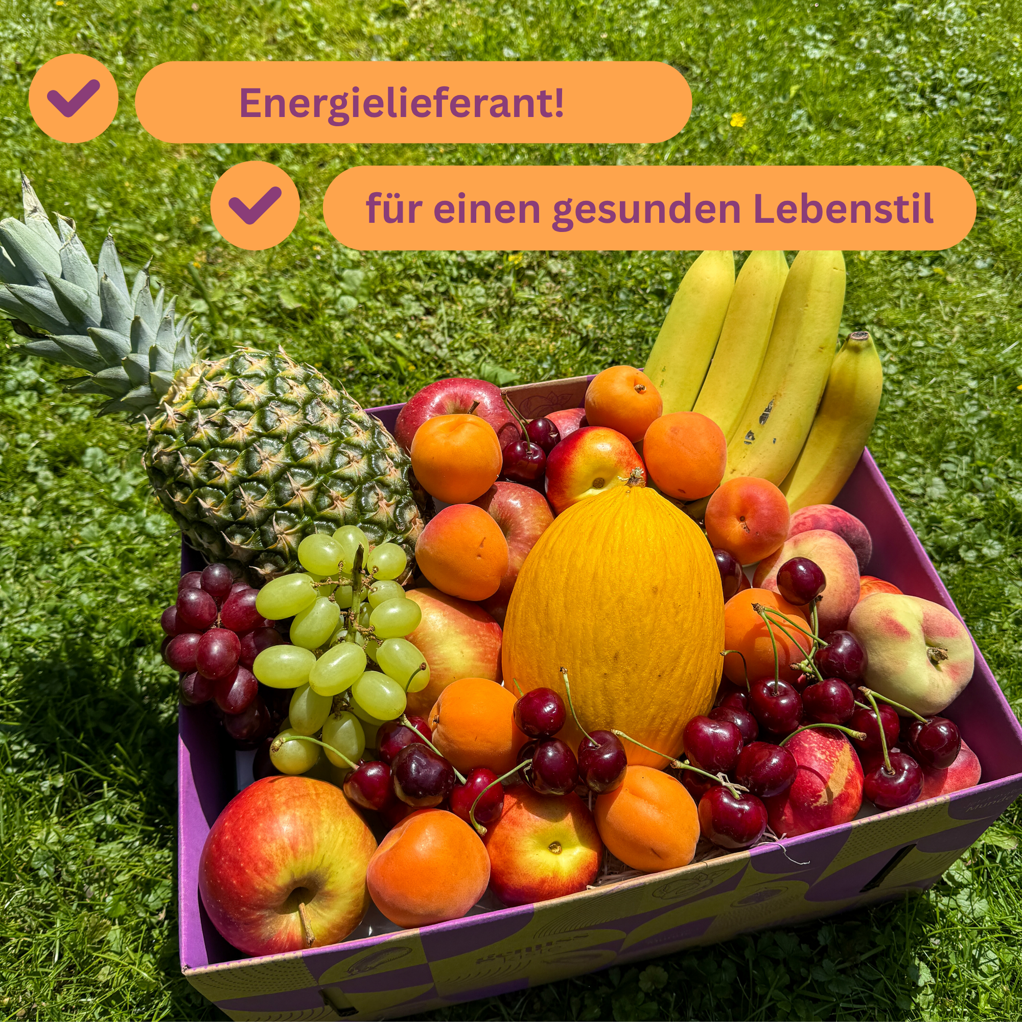 Sunshine fruits