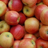 Äpfel