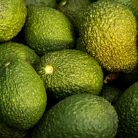 Avocado