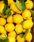 500 Gr Amalfi Zitronen