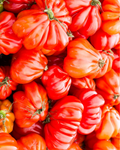 1 Kg Ochsenherztomaten