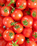 500 Gr Kirschtomaten