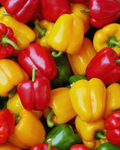 500 Gr Paprika