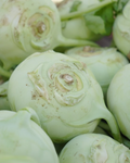 1 Stück Kohlrabi