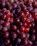 500 Gr Weintrauben kernlos rot