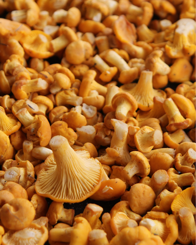 300 Gr Pfifferlinge