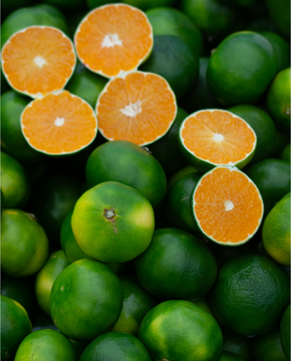 Satsumas