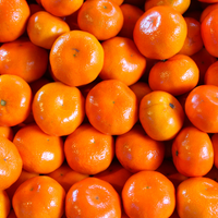 Clementine