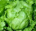 1 Stück Salat