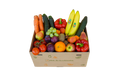 Familien-Vitalbox