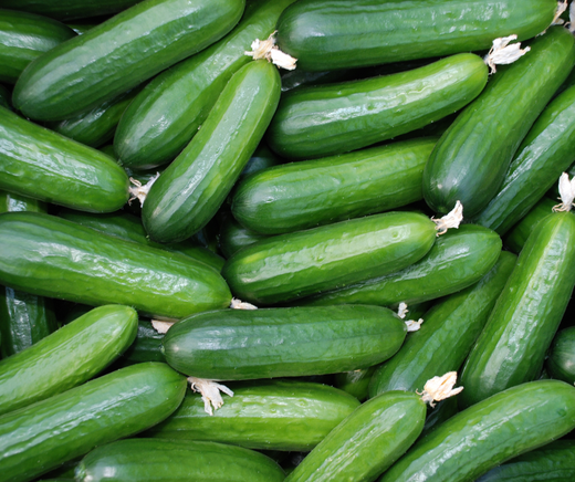 1 Kg Mini-Gurken