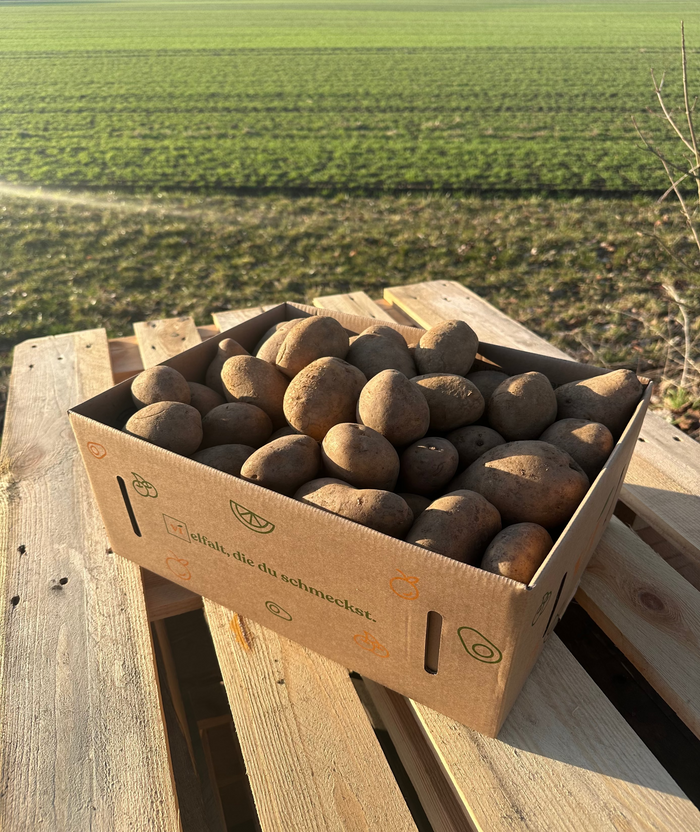 Kartoffelbox - 5kg