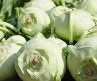 Kohlrabi