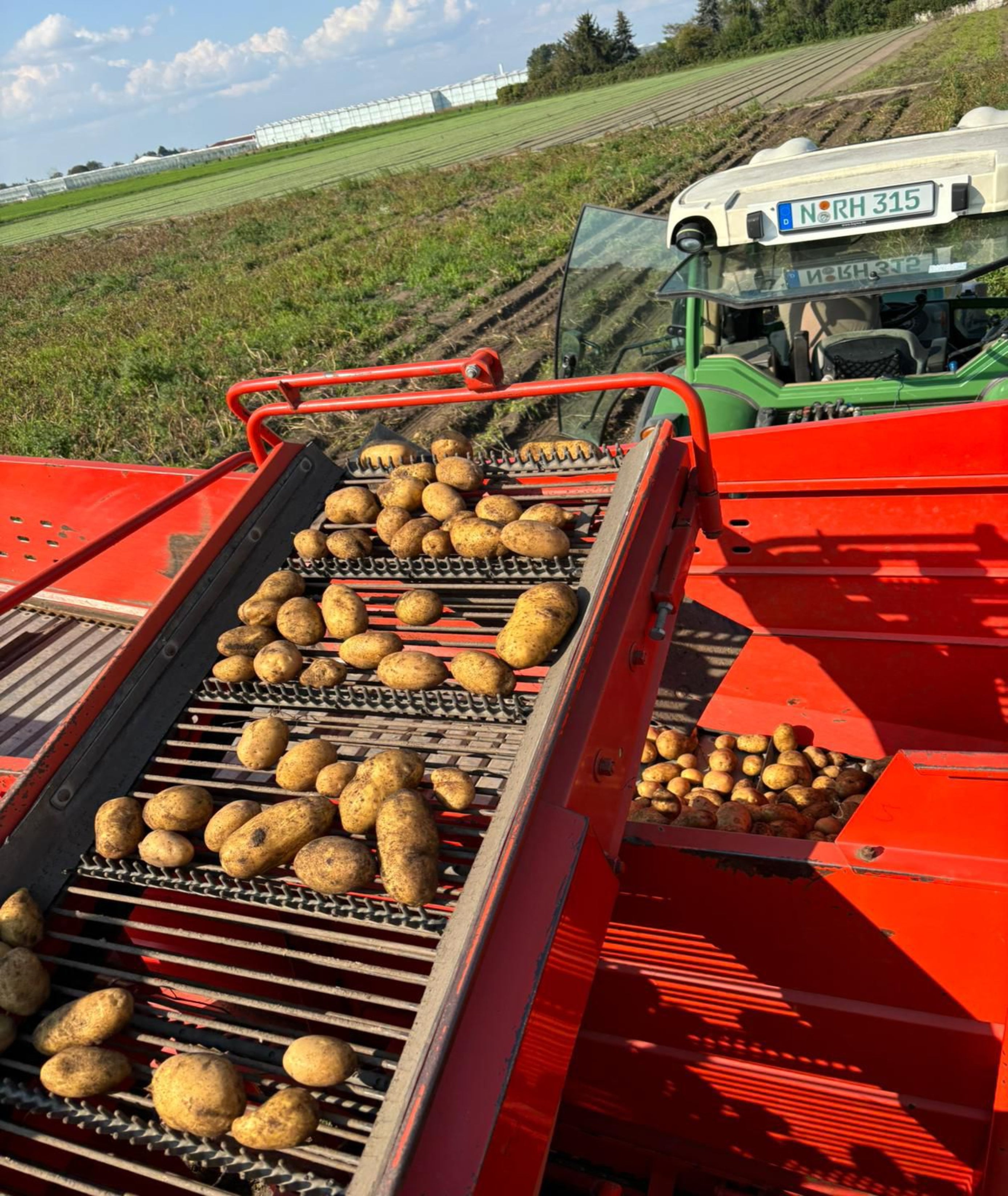 Kartoffelbox - 5kg