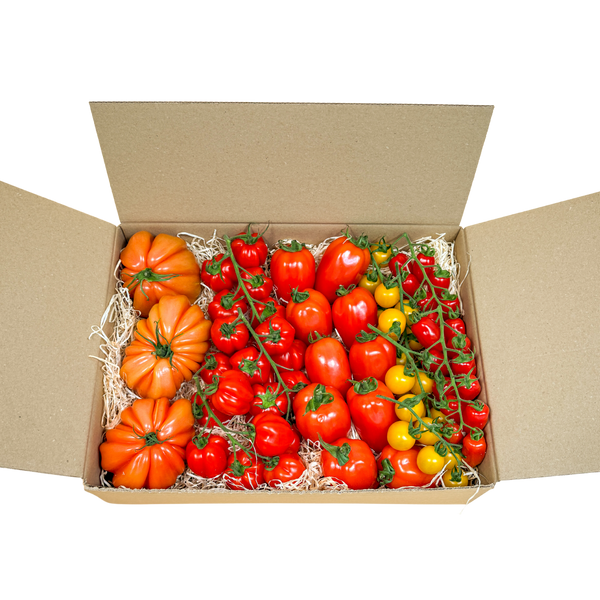 Tomatenkiste 3kg