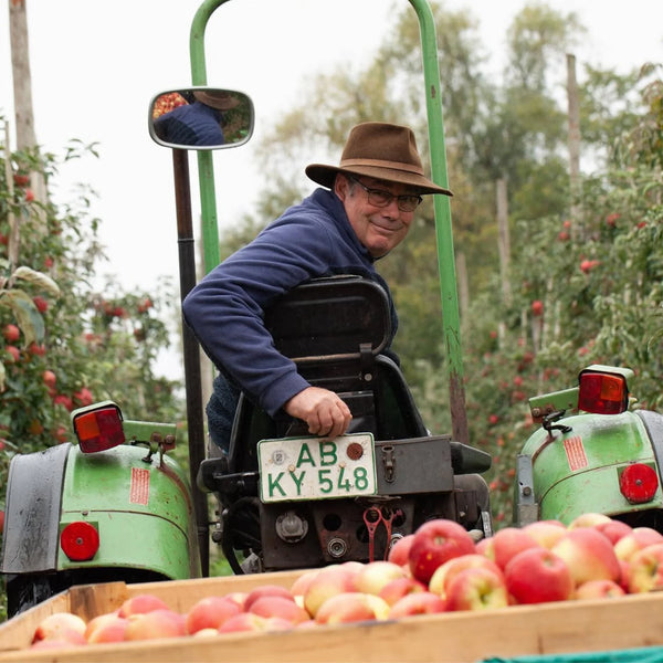 Apfelbauer auf Traktor mit frischer Apfelernte