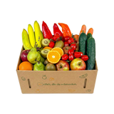 Familien-Vitalbox