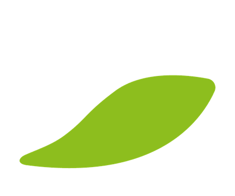 10 %